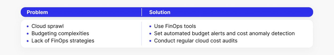 problem and solution for cost management and optimization