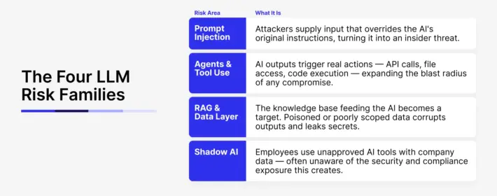 The Four Critical LLM Risk Families